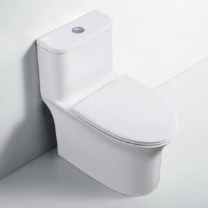 Bồn cầu 1 khối Dizado DZD5090