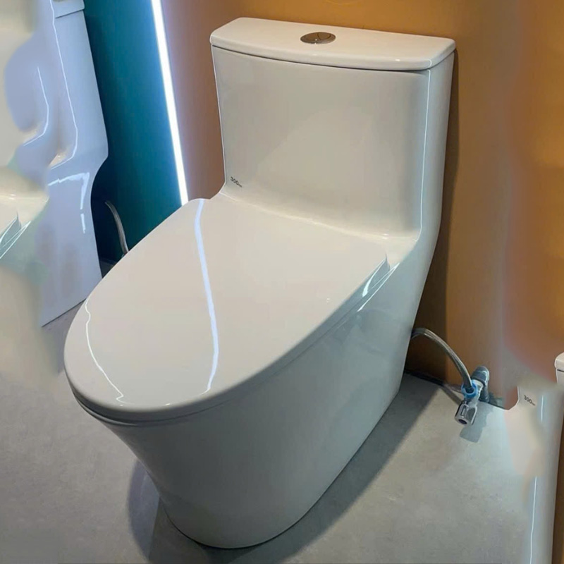 Bồn cầu 1 khối Dizado DZD5098 - Ảnh 3