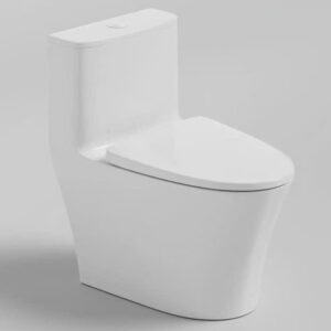 Bồn cầu 1 khối Dizado DZD5098