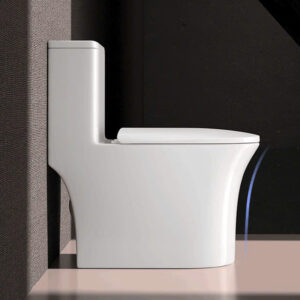 Bồn cầu 1 khối Dizado DZD5052