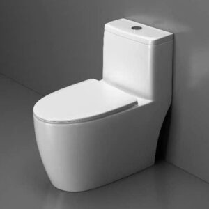 Bồn cầu 1 khối Dizado DZD5089