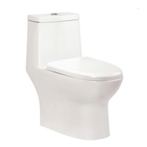 Bồn cầu liền 1 khối Dizado DZD5016